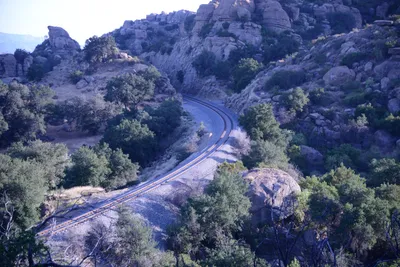 DSC_2102 (Large).JPG